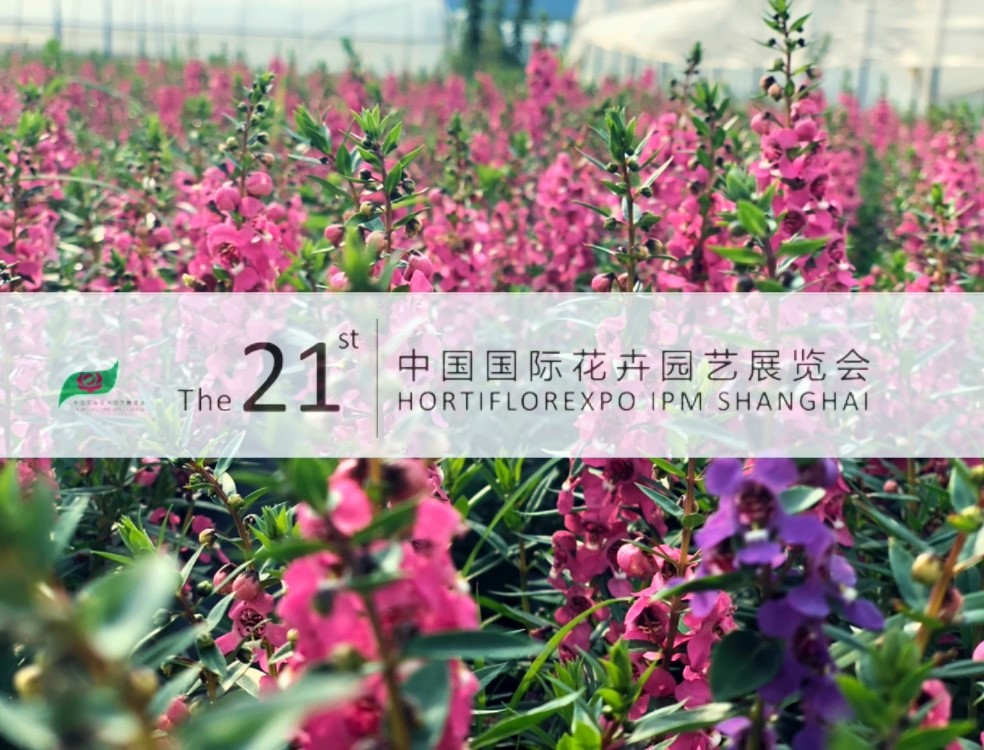尊龙凯时-官网首页--人生就是博!