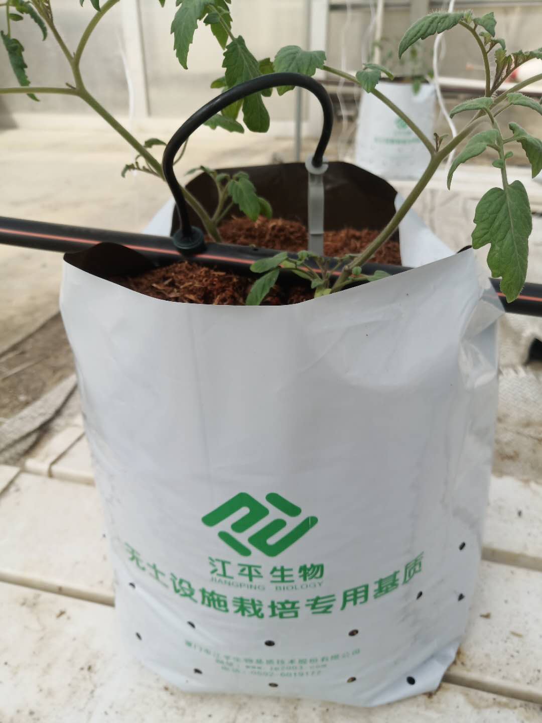 尊龙凯时-官网首页--人生就是博!