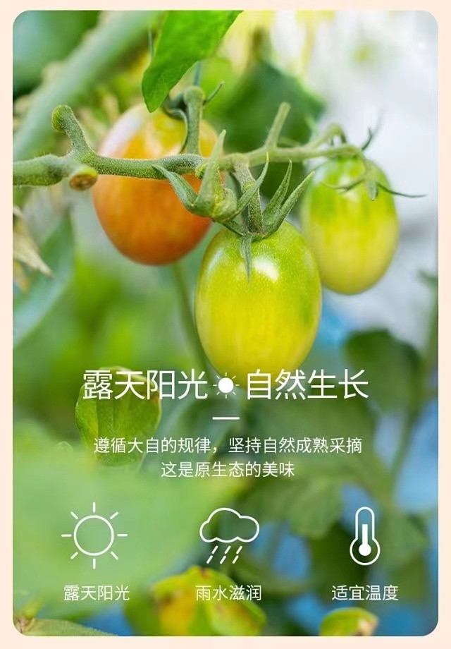 尊龙凯时-官网首页--人生就是博!