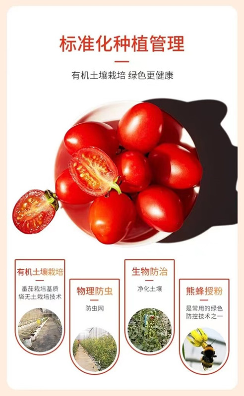 尊龙凯时-官网首页--人生就是博!