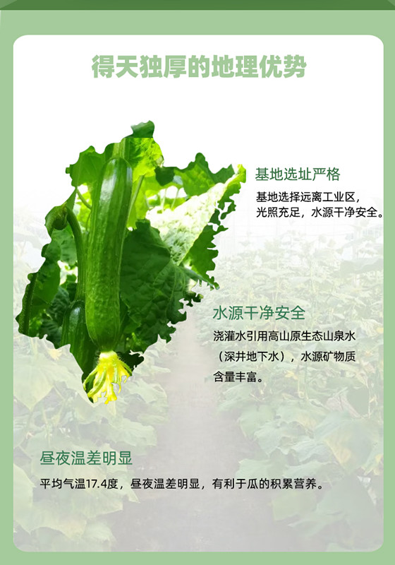 尊龙凯时-官网首页--人生就是博!