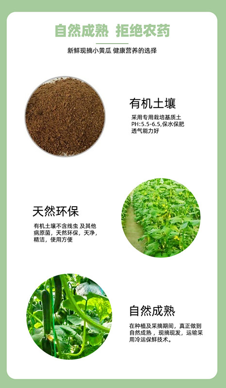 尊龙凯时-官网首页--人生就是博!