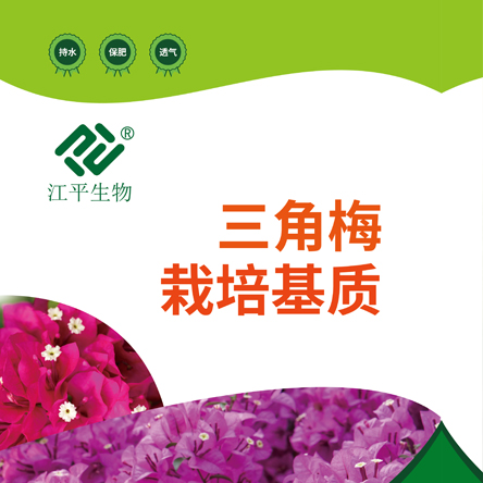尊龙凯时-官网首页--人生就是博!