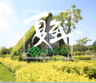 尊龙凯时-官网首页--人生就是博!